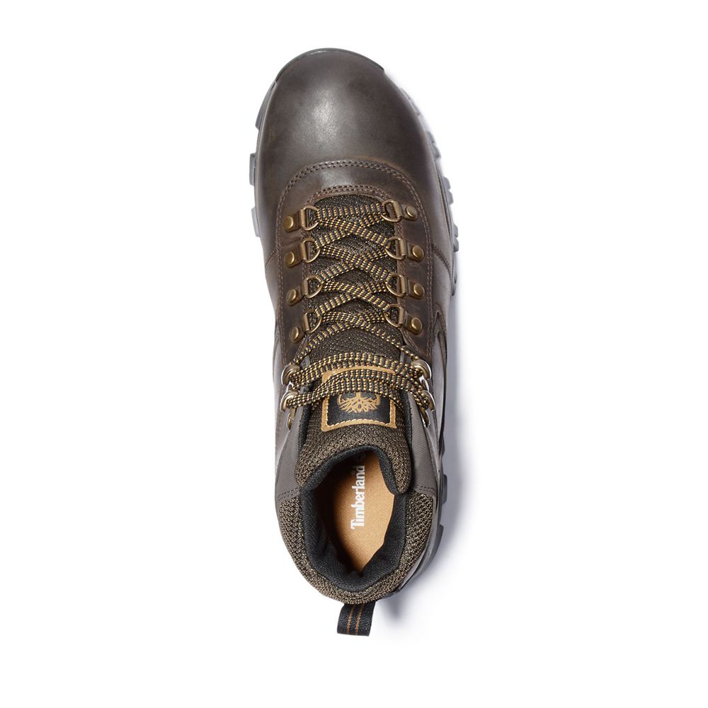 Botas de Caminhada Masculino - Timberland Mt. Maddsen Mid Impermeavel - EDAYL7513 - Marrom Escuro